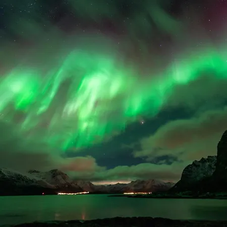 Apartment Lofoten *