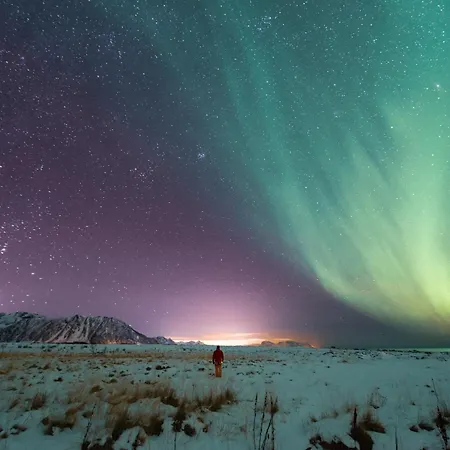Lofoten